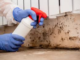 Best Air Quality Testing for Mold Spores  in Nesconset, NY